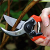 secateurs_01